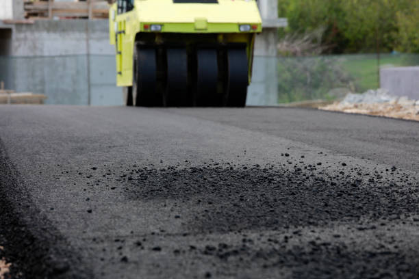 Best Driveway Pavers Contractor  in Westview, FL