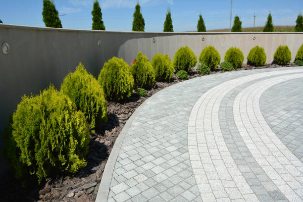 Best Permeable Paver Driveway  in Westview, FL